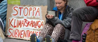 Upprop för klimatet sprider sig – aktion i Nyköping på fredag