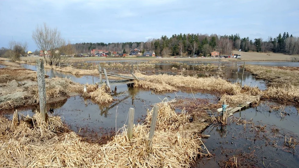 Vattnet i strandängen vid Aspa rinner vidare ut i Ludgosjön, liksom vattnet från avloppsreningsverket. Ny teknik ska ge mindre utsläpp.