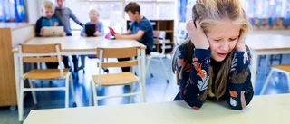 Skolinspektionen måste ha muskler