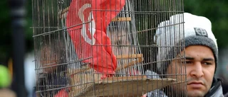 Åtta år efter revolutionen stängs gränser