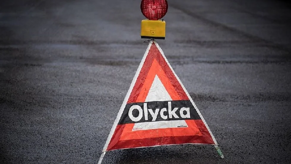En busschaufför råkade ut för en viltolycka i Stallarholmen på onsdagseftermiddagen.