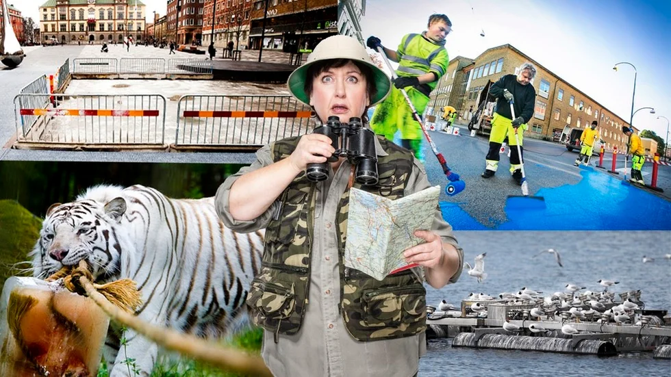 Rollatordammen, den blå korsningen, Parkens Zoo och den omtalade fontänen i Eskilstunaån. Det är några av tipsen som kommit in till Babben Larsson inför hennes besök i Eskilstuna med showen Expedition Babben.