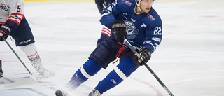 Gnestaseger – men dyster skadeprognos