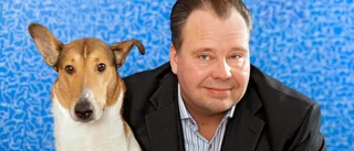 Så tar du hand om hunden i extremvärmen: "Det handlar mycket om förnuft"