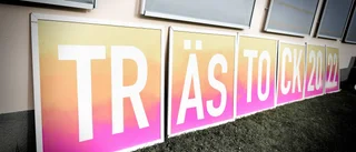 Summering av Trästock: ”Lyckat arrangemang” • Drabbades av stöld under uppbyggnaden