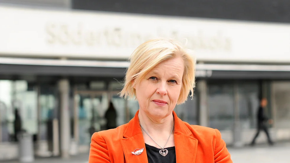 Ann-Chatrine Jungar, docent i statsvetenskap vid Södertörns högskola tycker att SD:s första vitboksdel bekräftar bilden av partiets historia. Arkivbild.