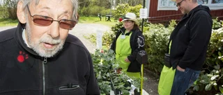 Trädgårdsdag med krukodlingstema