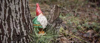 Tomtar skapar glädje och julstämning i Malmköping