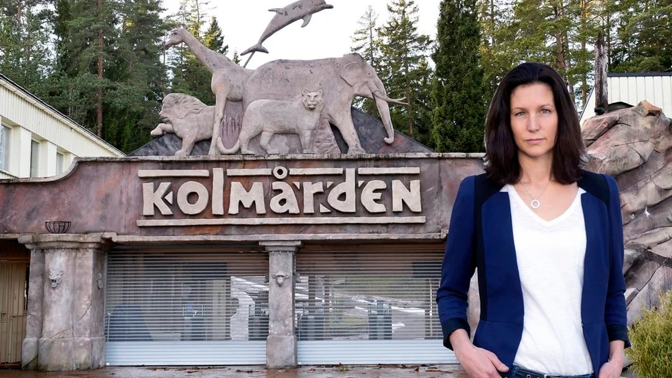 SN:s chefredaktör Anna Falk.