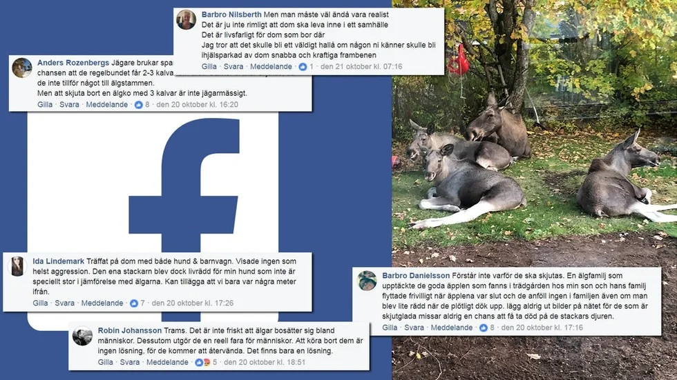 Älgfamiljen i Skogstorps öde engagerar i sociala medier.