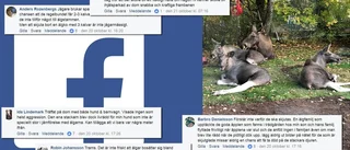 Älgarna i Skogstorp engagerar i sociala medier