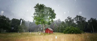 Svalare luft på ingång: "Sommarväder"