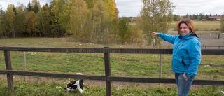 Vad är det för rekord ni slagit?