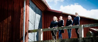 Alliansförslag: Bygg en anläggning för ridsport i Nyköping