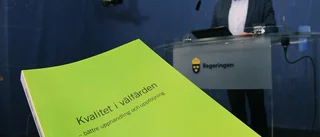 Debatt: Miljöpartiet har rätt i sin kritik mot Reepalu