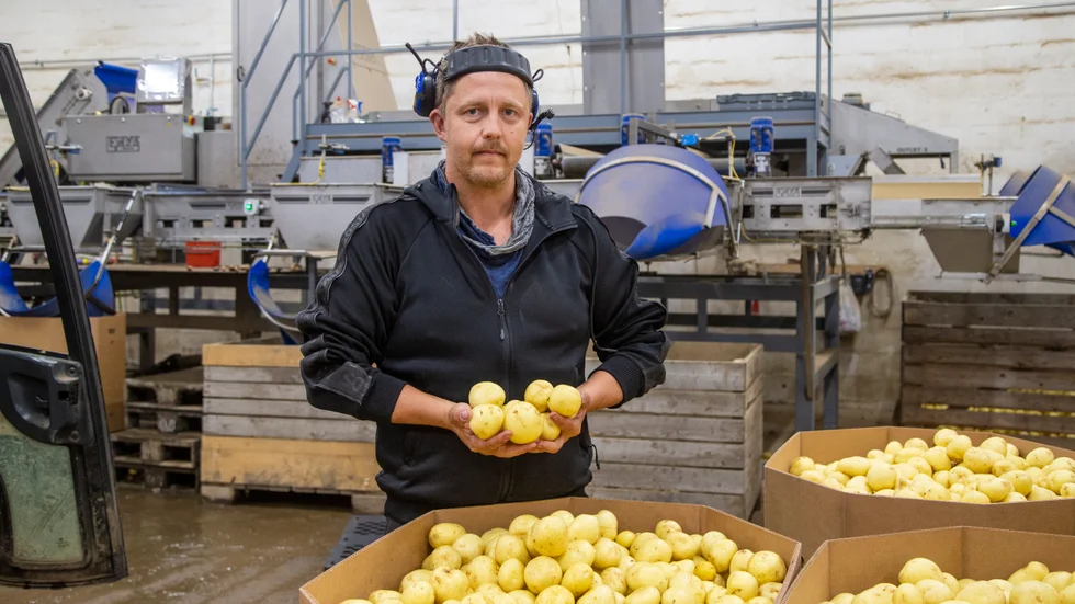Potatisodlaren Markus Levander i Böle vill gärna se högre lönsamhet i branschen. ”Då hade fler kanske tagit över och fortsatt.” (Arkivbild)