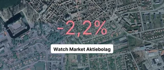 Röda tal för Vadstenaföretaget under 2021