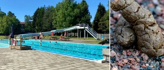 Bajsolyckor har stängt utebad i Luleå – flera gånger: "Svårt att identifiera vem som är orsaken"