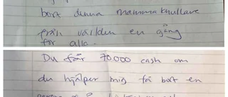 Breven som kan fälla kvinnan – åtalas för stämpling till mord