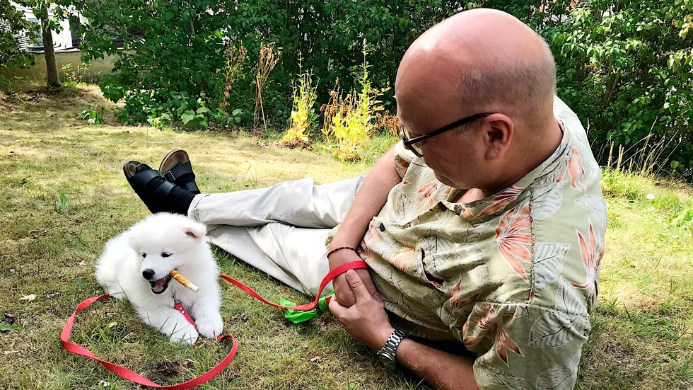 Krönikören och hans fru har blivit med valp och vardagen med samojeden Linnea har gett nya infallsvinklar även på kontakter människor emellan.