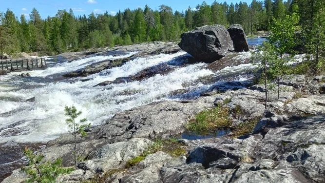 Storforsen är en av Europas vackraste och mäktigaste platser.