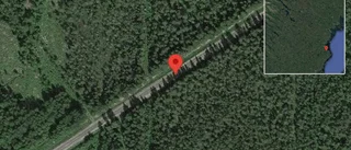 Problem i trafiken efter nedfallna träd på väg 820