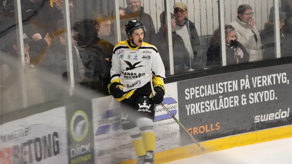 Kalvyn Watson presenterades på lördagen som ny VIK-spelare.