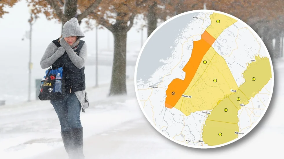 Det blir kraftiga vindar i Västerbotten i helgen.