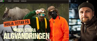 Rekordmånga älgar som simmat – får Hooja förnyat förtroende?