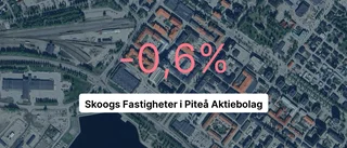 Årsredovisningen klar: Så gick det för Skoogs Fastigheter i Piteå AB