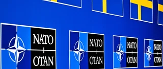 Nato enar Norden och lär Sverige en viktig läxa