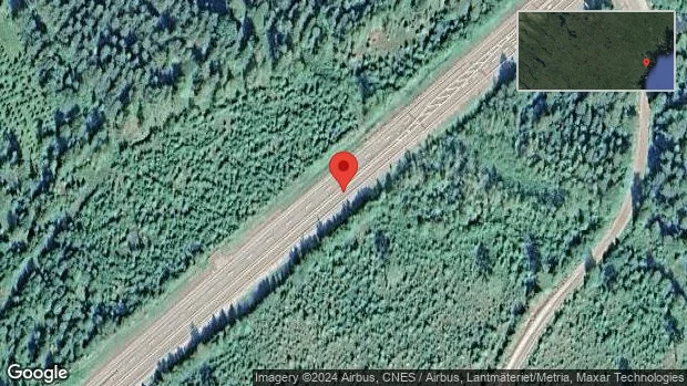 Rådjur på fel sida av viltstängslet på E4