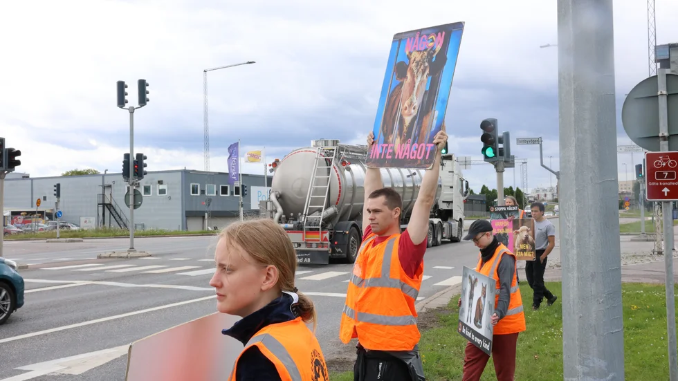 Under tre dagar kommer demonstranter stå med plakat utanför Scans slakteri i Linköping. Det långsiktiga målet är att stoppa dödandet av djur och att få fler att ställa om till en växtbaserad kost.
