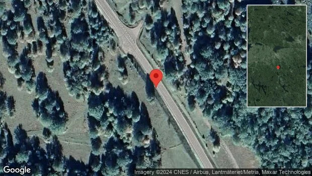 Träd över vägen skapar problem i trafiken på väg 23