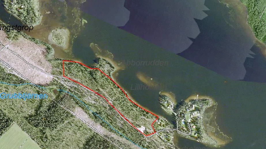 Det aktuella området som inventerats vid Lillkågeträsket.