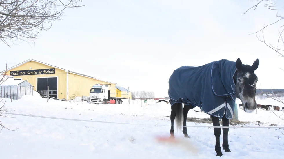  WF Förvaltning AB som driver Stall WF vill köpa en angränsande fastighet på Slipvägen där det nu byggs entreprenörsbostäder