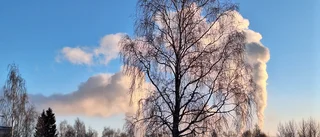 Läsarbilden från Luleå        