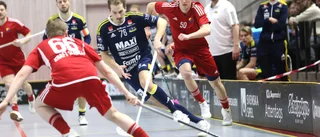 Så rapporterade Helagotland från Visby IBK:s match