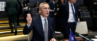 Ökat försvar utlovas i Nato
