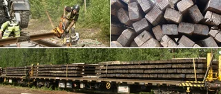 Jättelager av träslipers placeras i Jörn 