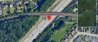 Varning för rådjur på vägen på E4