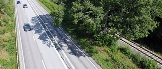 Gör något åt trädet innan det händer en olycka