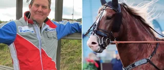 Piteåägd häst tvåa i storlopp – kammade hem 100 000 kronor