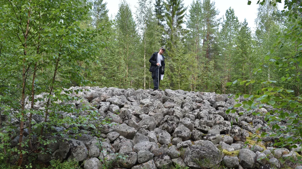 Människorna som byggde rösena på Rösbacken fraktade mängder av stora stenar. Olof Östlund står på ett av de större.