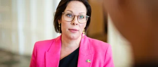 Bara en återvandrade förra året – nu ska fler uppmuntras