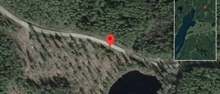Nedfallna träd påverkar trafiken på väg 1107