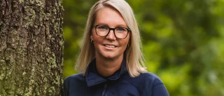 Den döda veden i Norrbottens skogar främjar biologisk mångfald