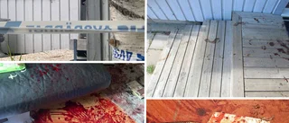 Skräcknatt i Luleå: Kvinna kämpade för sitt liv efter knivdåd