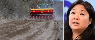 EU-regler rycker undan benen för jordbruk i Uppsala län