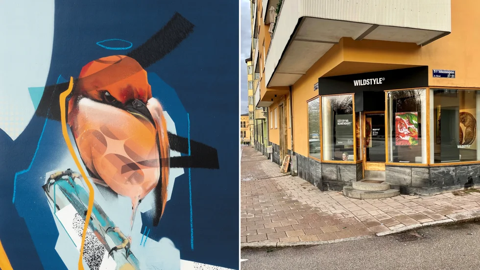 Uppsalakonstnären Emanuel Dekis har skapat flera målningar med fågelmotiv som ingår i en ny utställning ut på Galleri Wildstyle i Uppsala. Bilden är beskuren.